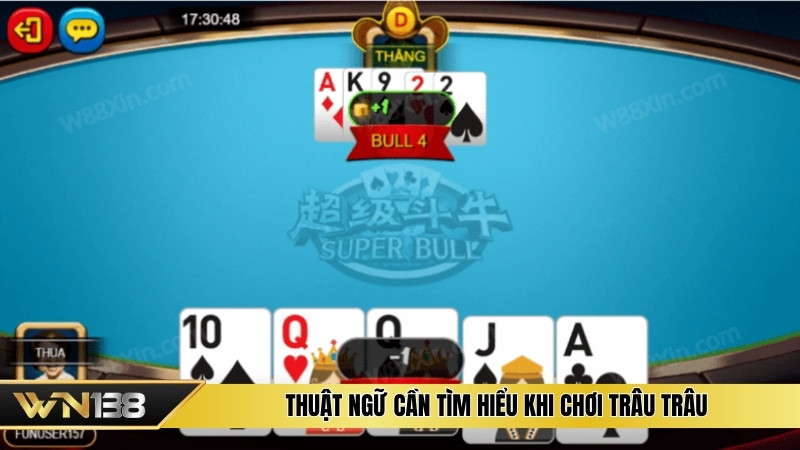 Thuật ngữ cần tìm hiểu khi chơi trâu trâu Thuật ngữ cần tìm hiểu khi chơi trâu trâu