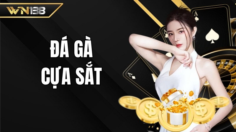 đá gà cựa sắt