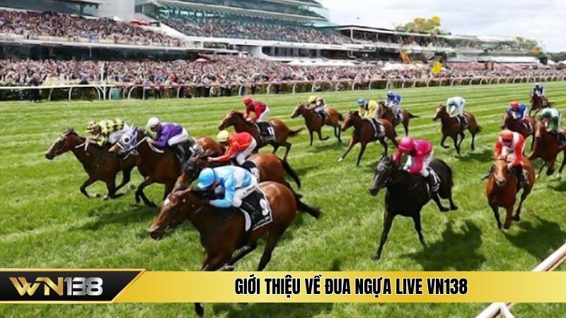 Giới thiệu về đua ngựa live VN138 Giới thiệu về đua ngựa live VN138