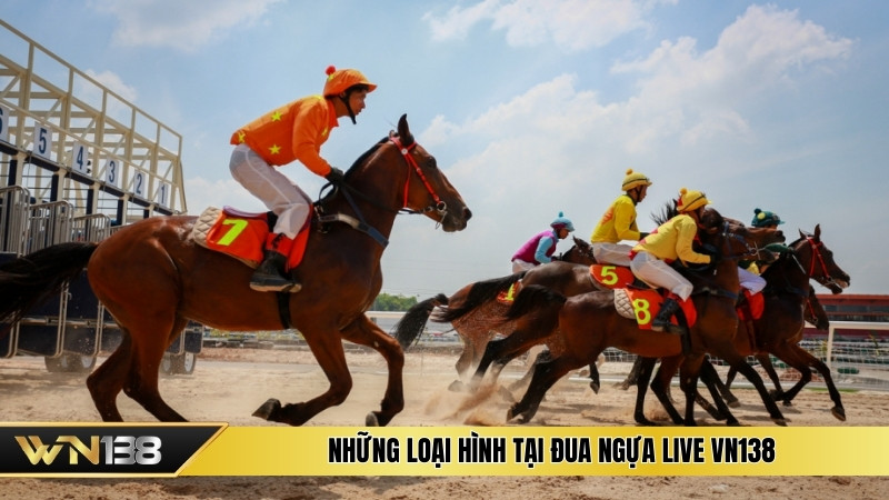 Những loại hình tại đua ngựa live VN138 Những loại hình tại đua ngựa live VN138