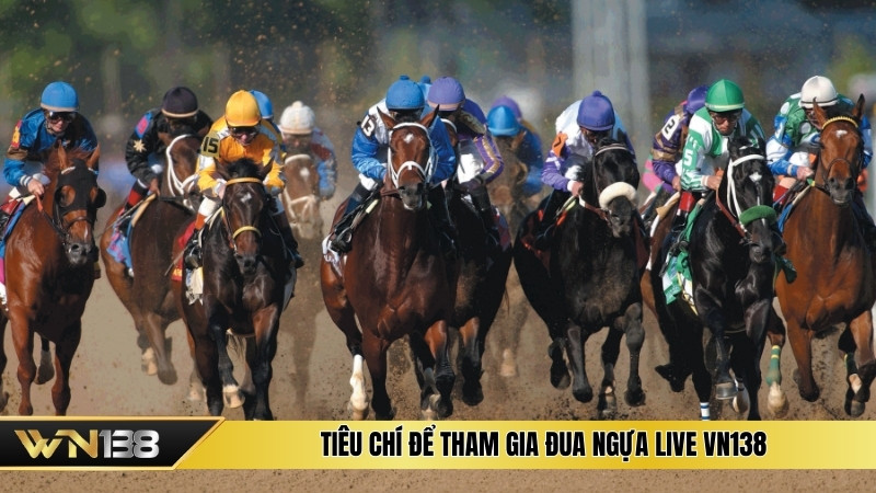 Tiêu chí để tham gia đua ngựa live VN138 Tiêu chí để tham gia đua ngựa live VN138